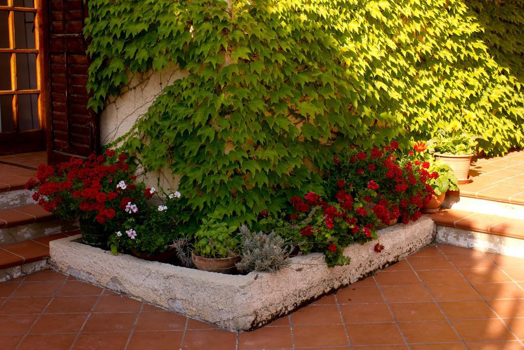 Casa Del Falso Pepe - Scala Dei Turchi Realmonte Extérieur photo