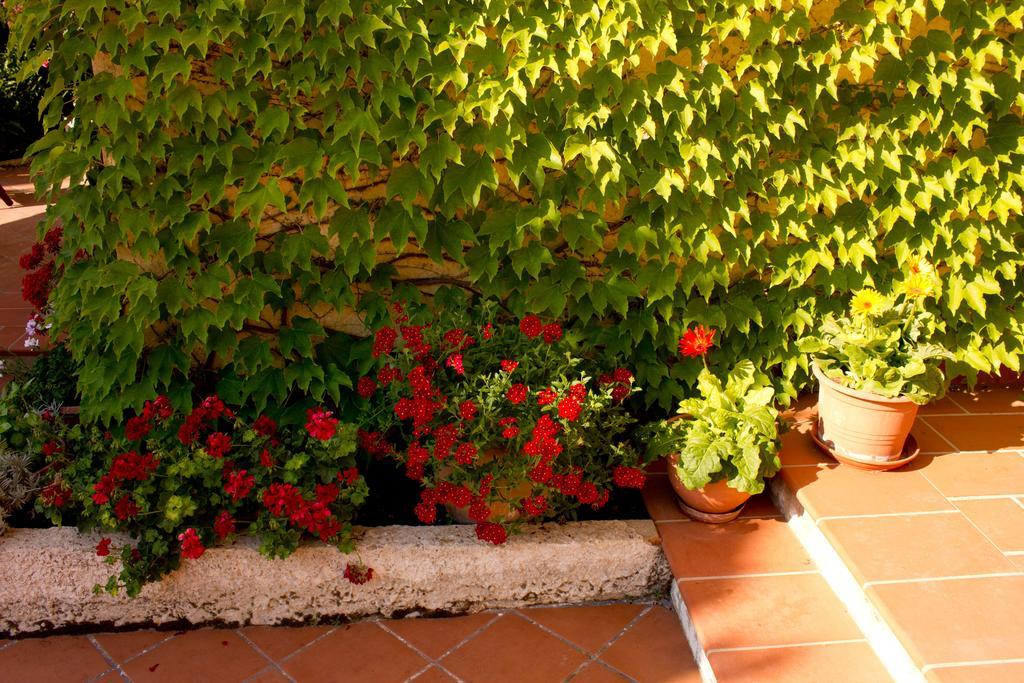 Casa Del Falso Pepe - Scala Dei Turchi Realmonte Extérieur photo